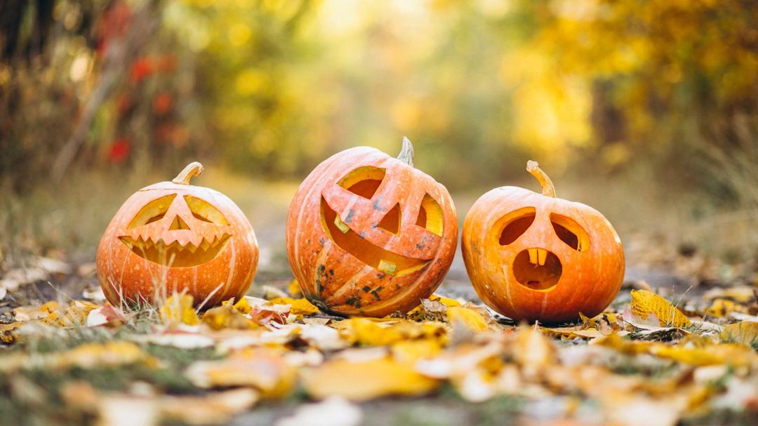 Three carved Halloween pumpkins on fallen autumn leaves in a park