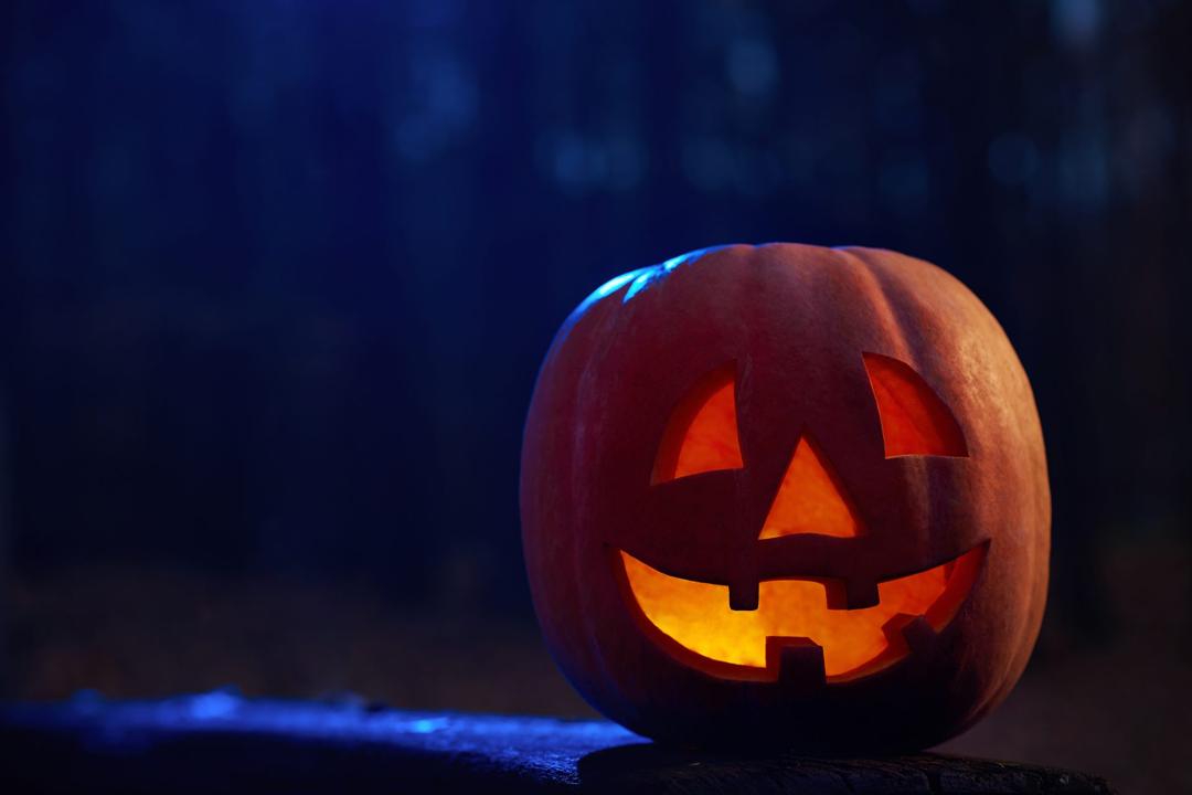 A carved pumpkin lit by a candle in a dark wood