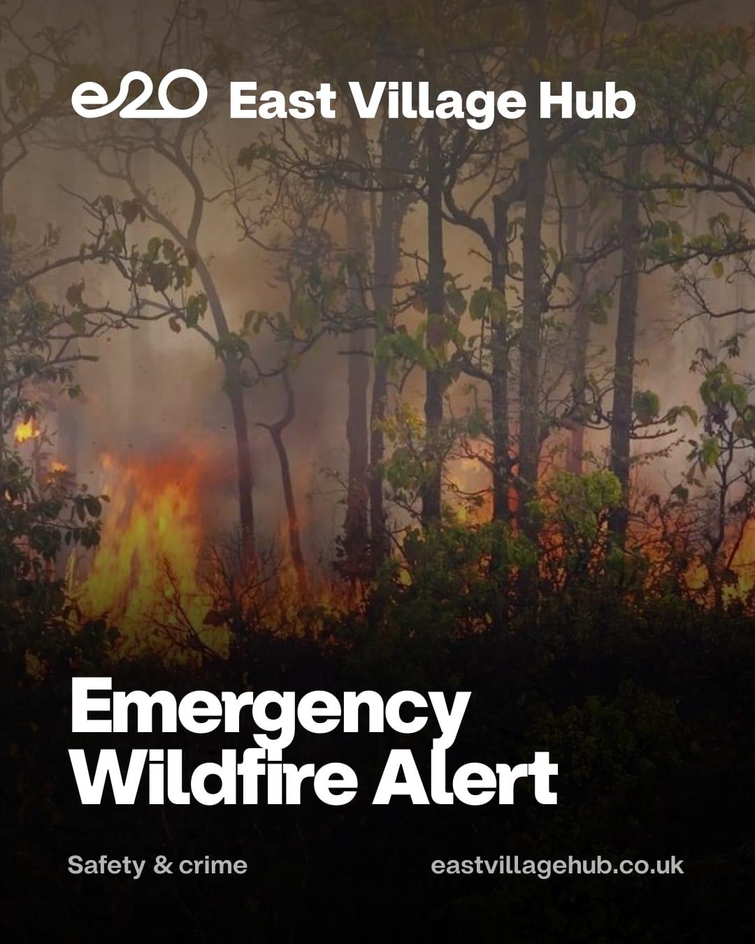 Emergency Wildfire Alert