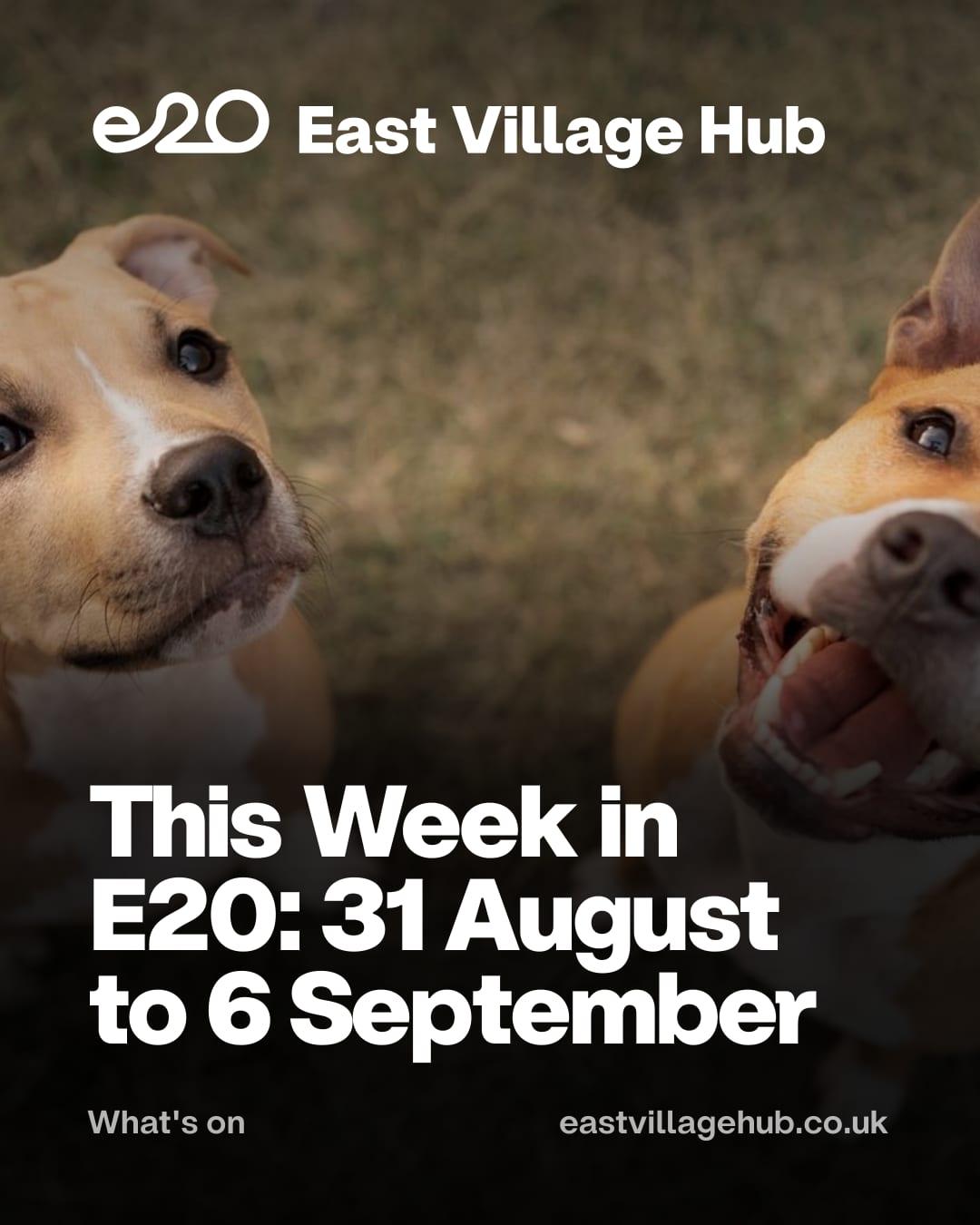This Week in E20: 31 August to 6 September