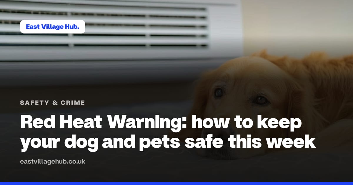 Safety & crime: Red Heat Warning: how to keep your dog and pets safe this week